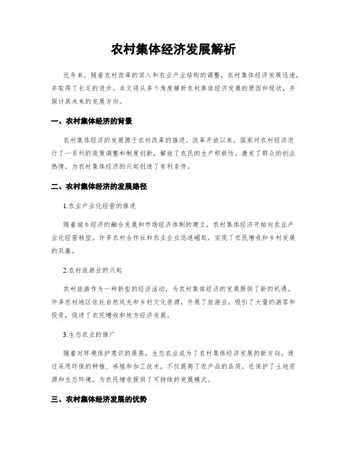 农村集体经济发展解析