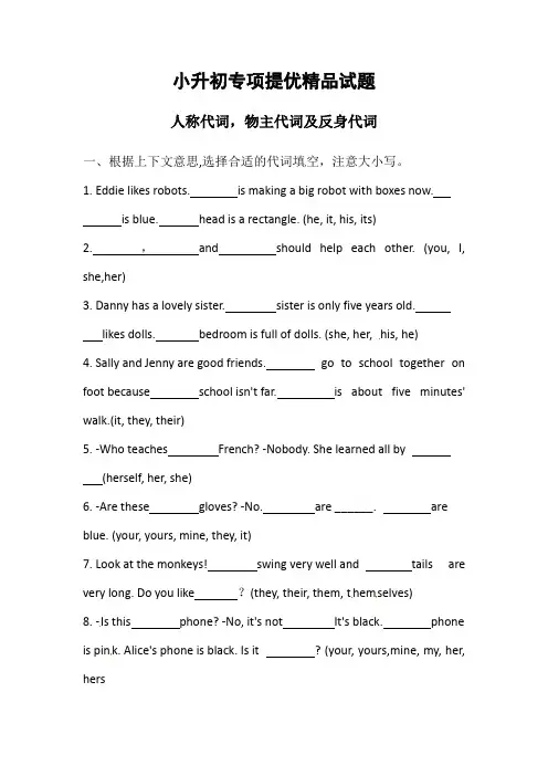 小升初英语专项 -代词