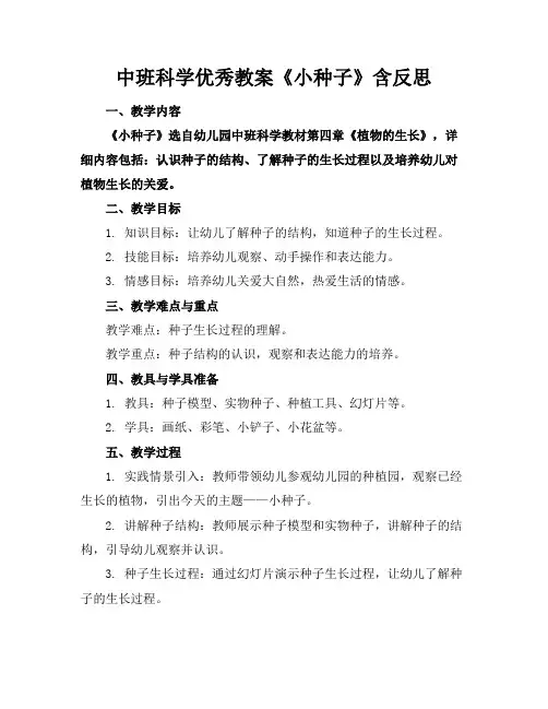 中班科学优秀教案《小种子》含反思