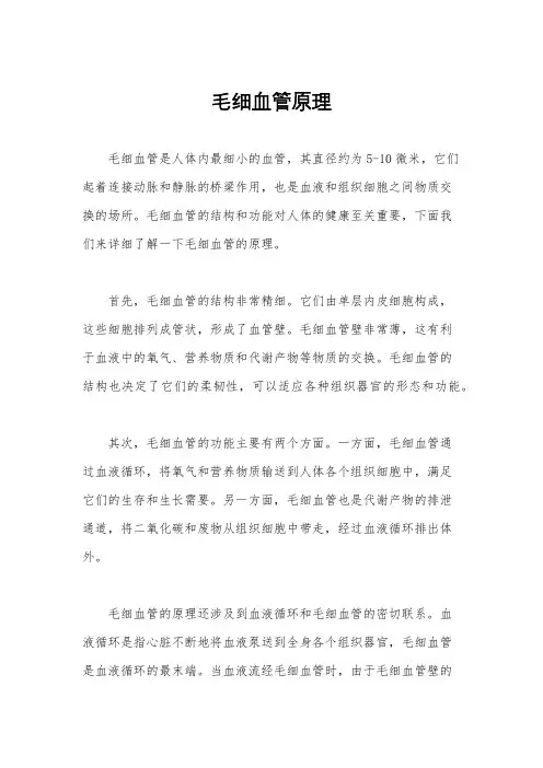 毛细血管原理