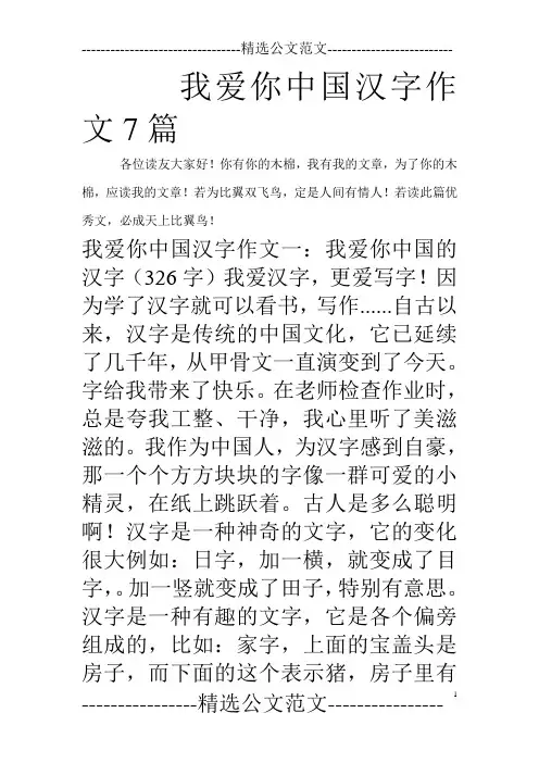 我爱你中国汉字作文7篇