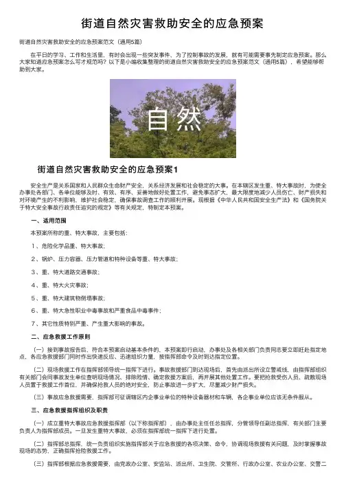 街道自然灾害救助安全的应急预案