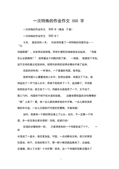 一次特殊的作业作文500字
