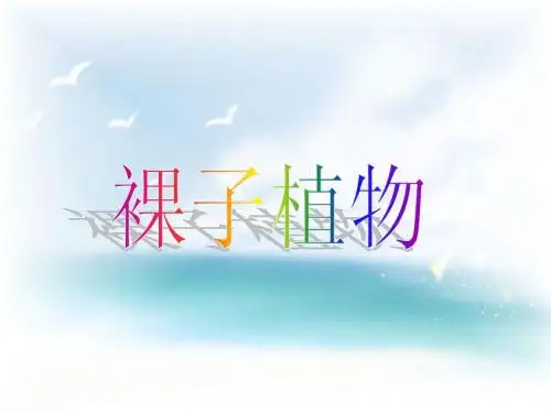 《裸子植物》参考课件1