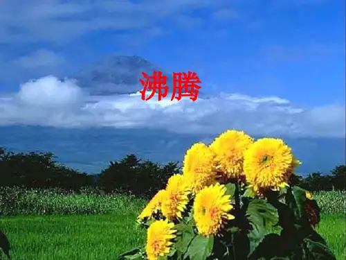 青岛版小学科学《沸腾》课件