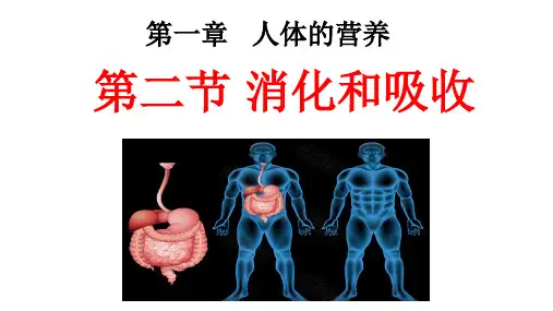 (名师整理)最新人教版生物7年级下册第2章第2节《消化和吸收》市公开课一等奖课件