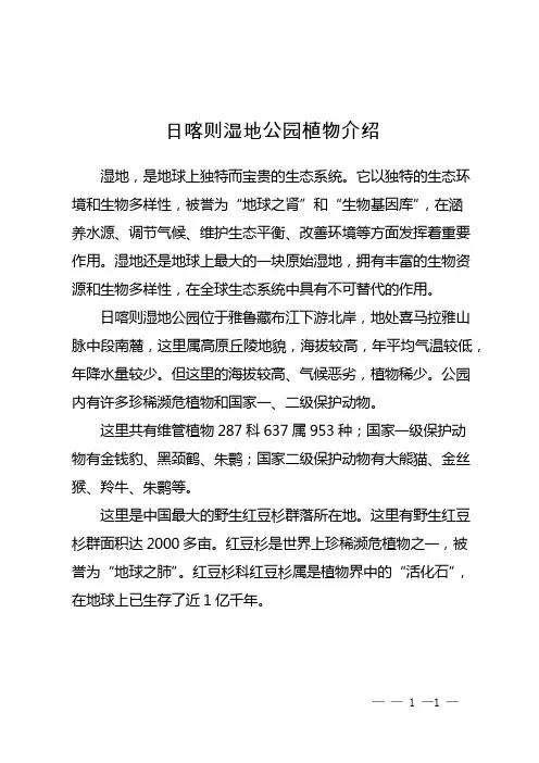日喀则湿地公园植物介绍