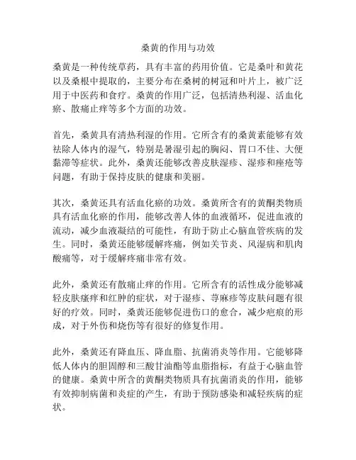 桑黄的作用与功效