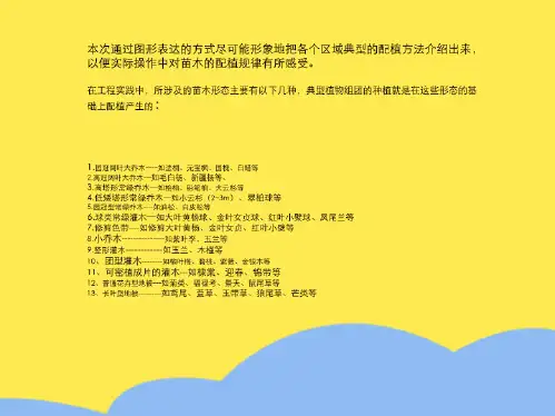 龙湖景观绿地种植配置方案(“乔木”相关文档)共10张