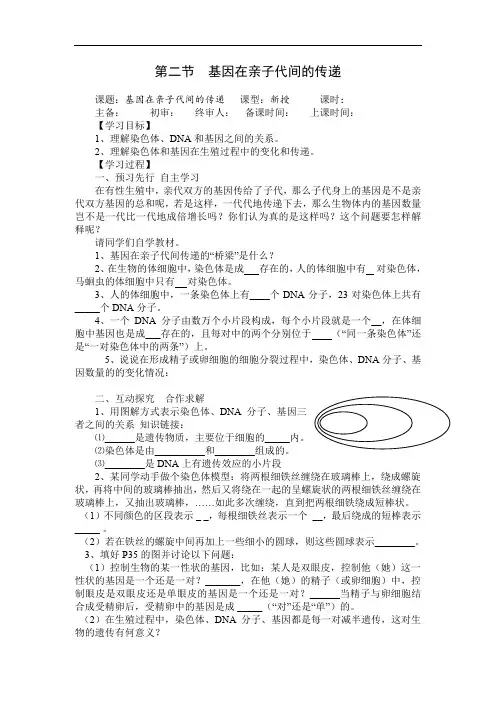人教版八年级下册生物导学案--基因在亲子代间的传递