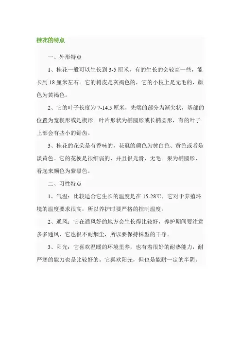桂花的特点