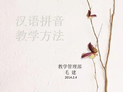 汉语拼音教学方法(课堂PPT)