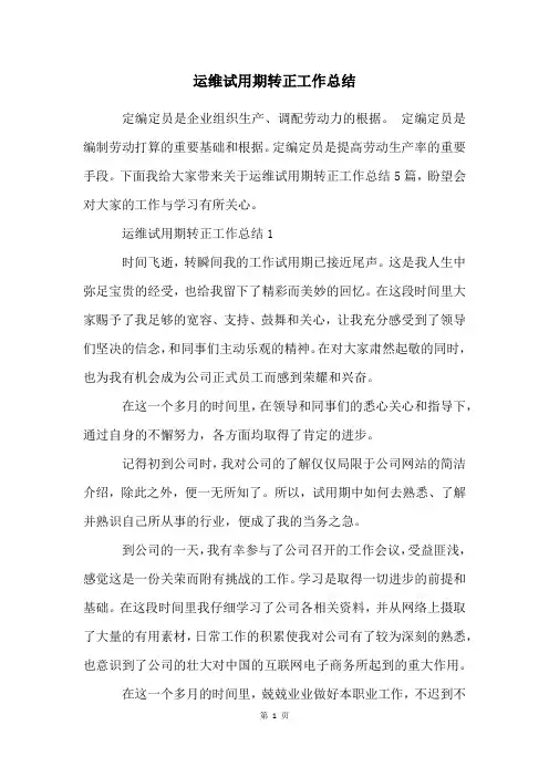 运维试用期转正工作总结