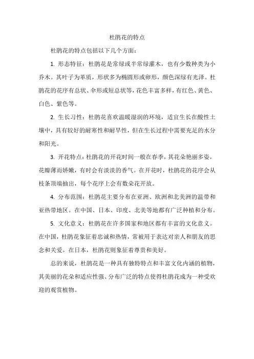 杜鹃花的特点