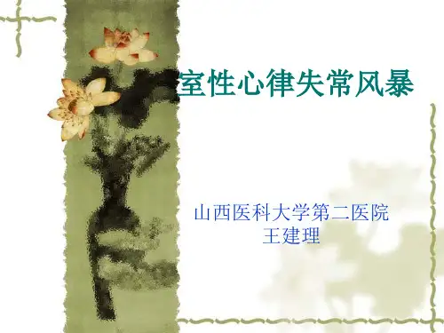 电风暴