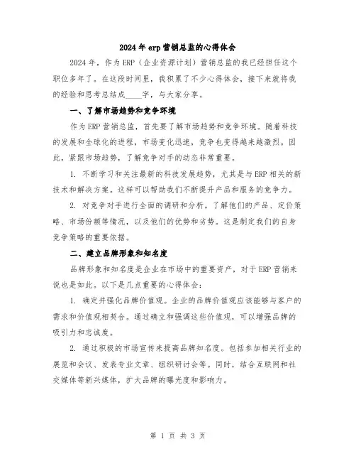 2024年erp营销总监的心得体会