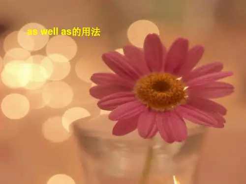 as well as的典型用法