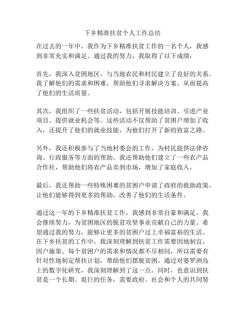 下乡精准扶贫个人工作总结