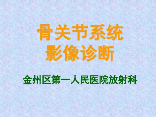 骨关节系统影像诊断PPT课件