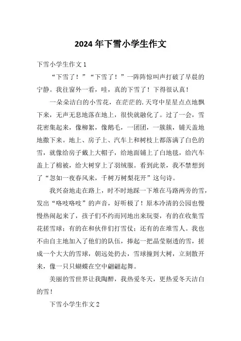 2024年下雪小学生作文