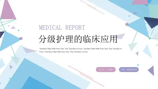 蓝紫色医疗分级护理的临床应用PPT模板