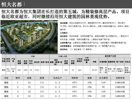 调研报告--恒大名都