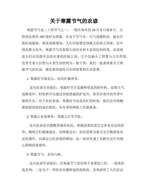 关于寒露节气的农谚