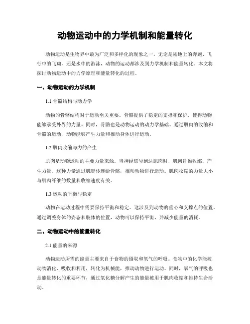 动物运动中的力学机制和能量转化