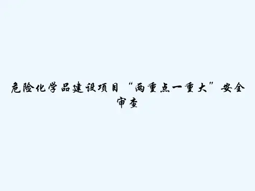 危险化学品建设项目“两重点一重大”安全审查-PPT