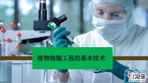 课件15：2.1.1 植物细胞工程的基本技术
