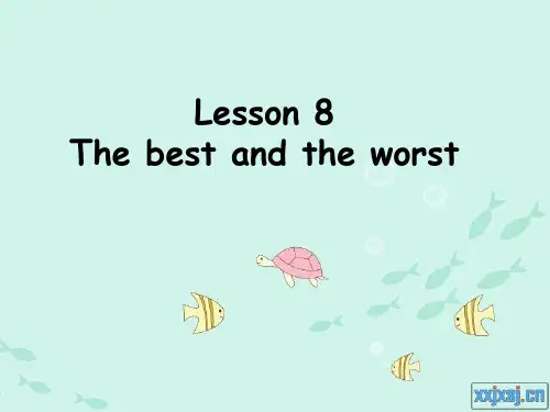 新概念英语第二册lesson8