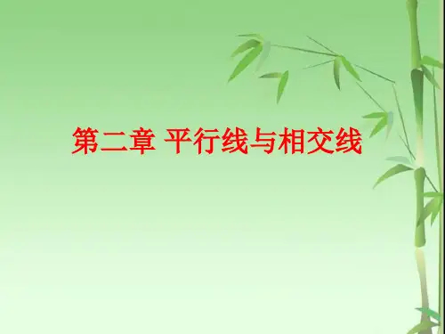 七年级数学下册第二章.ppt