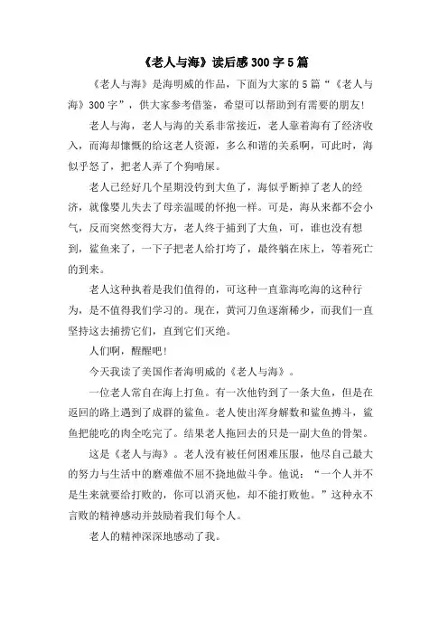 《老人与海》读后感300字5篇