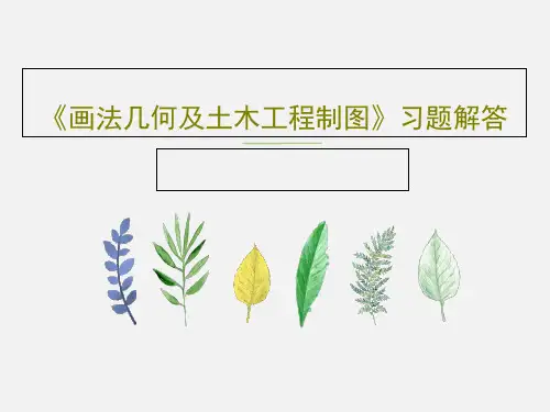 《画法几何及土木工程制图》习题解答共173页