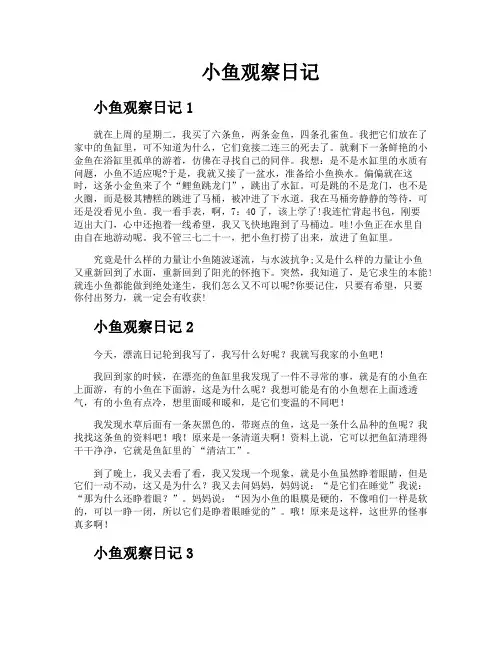 小鱼观察日记
