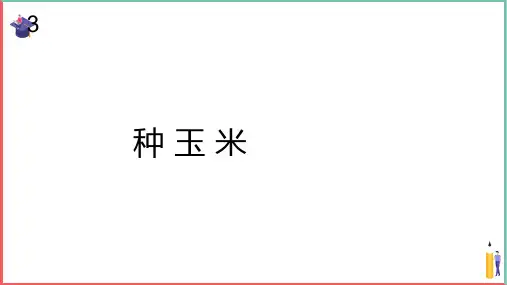 小学音乐课件【种玉米(简谱)】