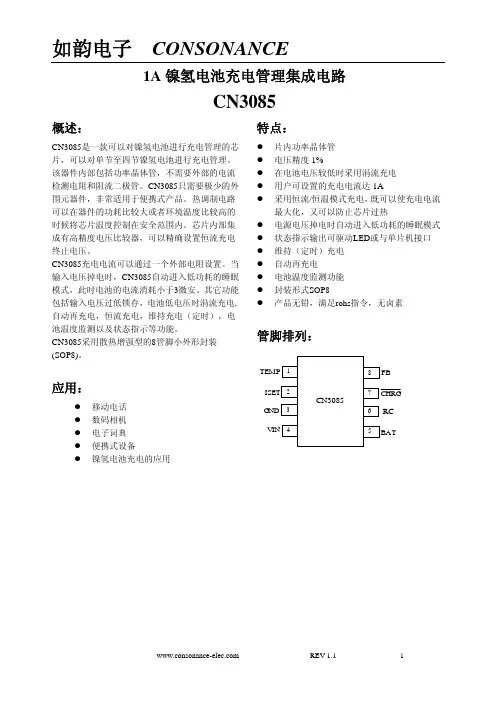 DSC-CN3085