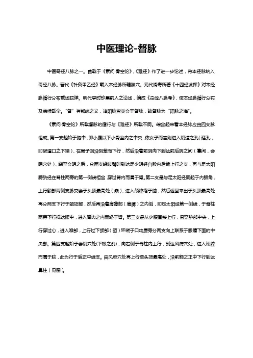 中医理论-督脉专业解读