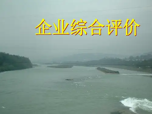企业综合评价ppt课件