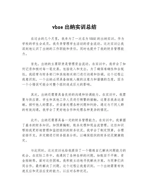 vbse出纳实训总结