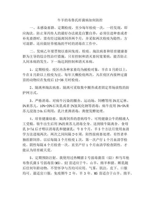 牛羊的布鲁氏杆菌病如何防控