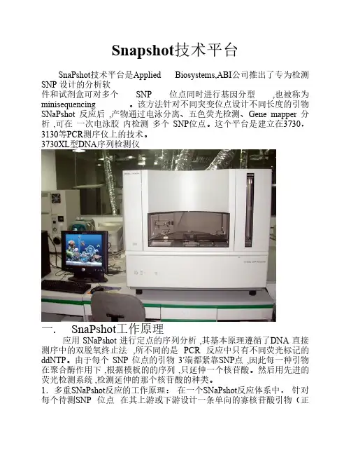 Snapshot技术平台(中文)