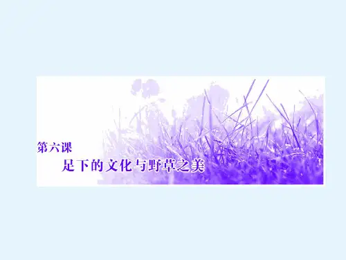 高二语文必修五课件第一单元第六课足下的文化与野草之美