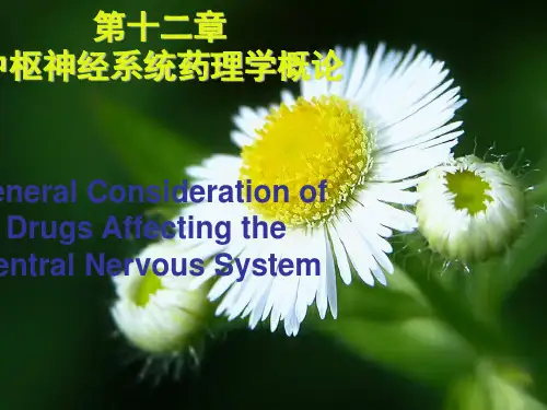 第篇中枢神经系统药理学概论优秀PPT资料