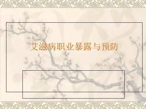 艾滋病职业暴露与预防PPT课件