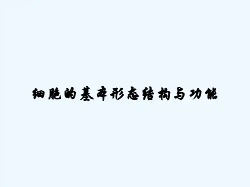 细胞的基本形态结构与功能-PPT