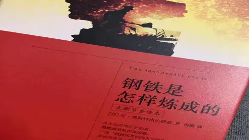 第六单元名著导读《钢铁是怎样炼成的》部编版语文八年级下册