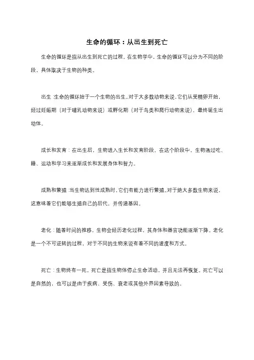 生命的循环：从出生到死亡