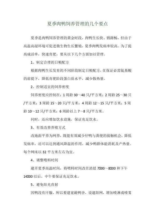 夏季肉鸭饲养管理的几个要点