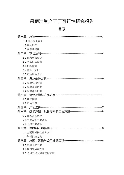 果蔬汁可行研究报告word资料17页